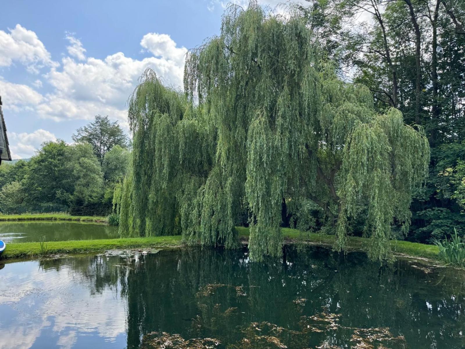 Restauracja I Noclegi Izba Rybacka W Krainie Wygaslych Wulkanow Podgorki Exterior foto